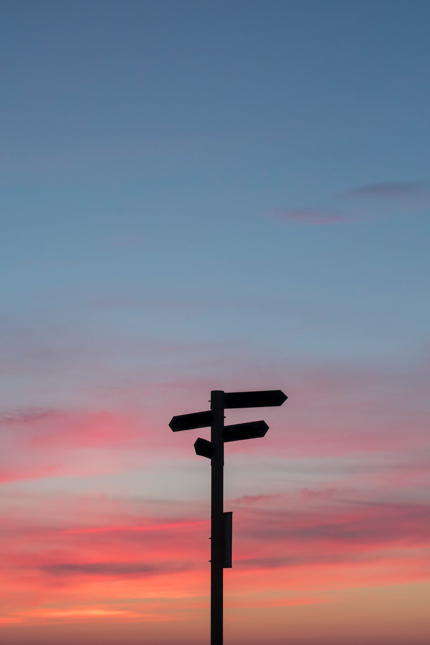 Life Path Reading – 60 Minutes